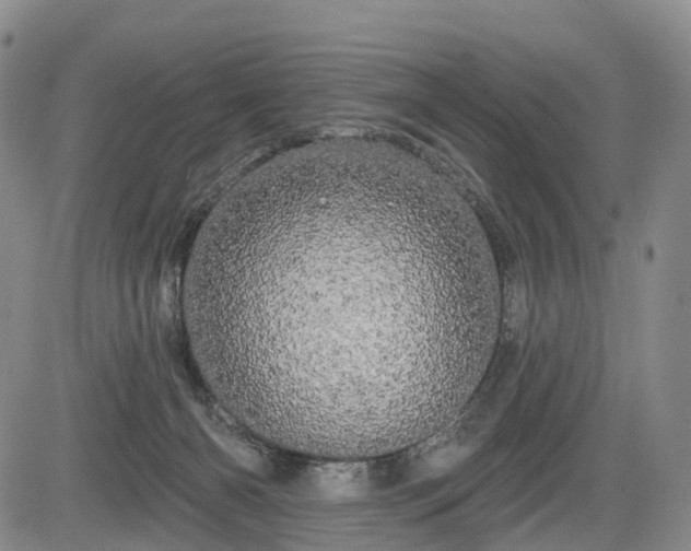 X0000084580126200703021540