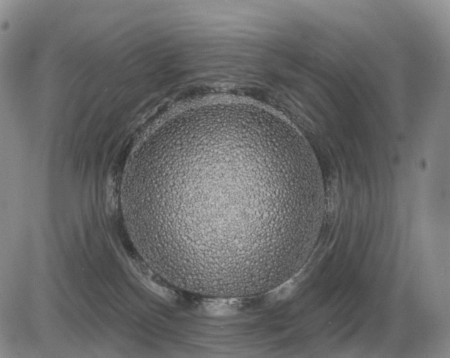 X0000084580136200703021540