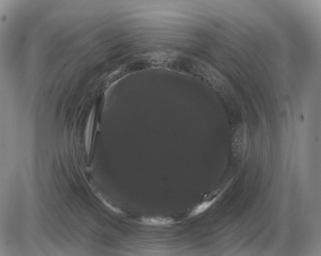 X0000084580137200703021540