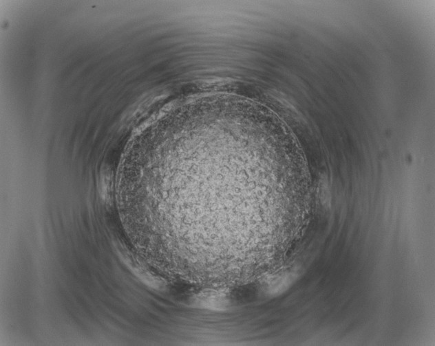 X0000084580138200703021540