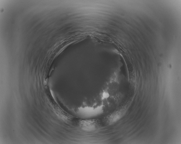 X0000084580139200703021540