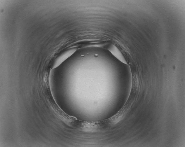 X0000084580141200703021540