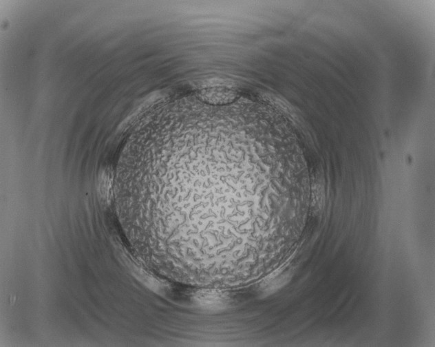 X0000084580142200703021540