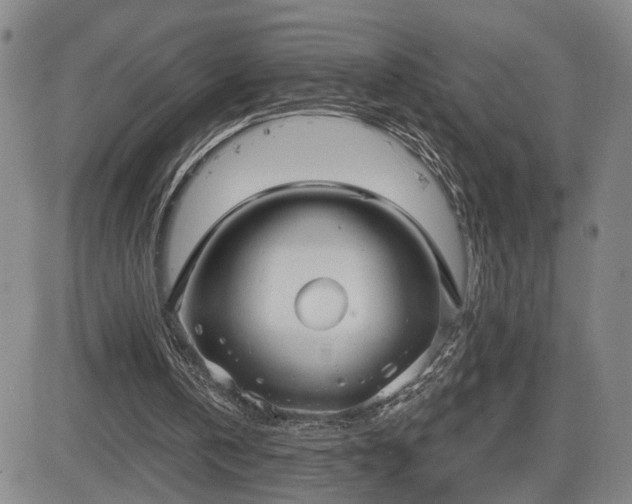 X0000084580146200703021539