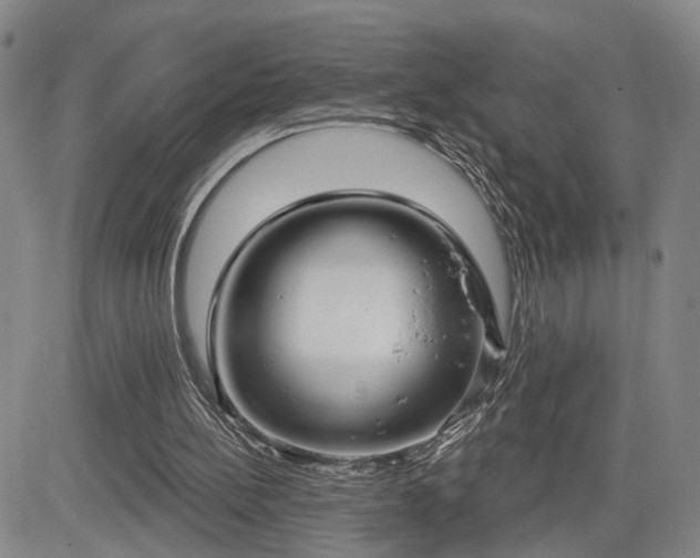 X0000084580148200703021539