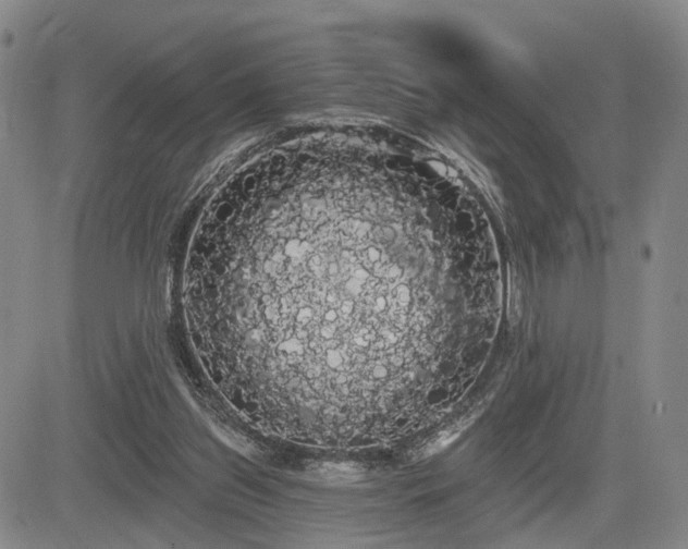 X0000084580157200703021539