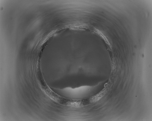 X0000084580163200703021539