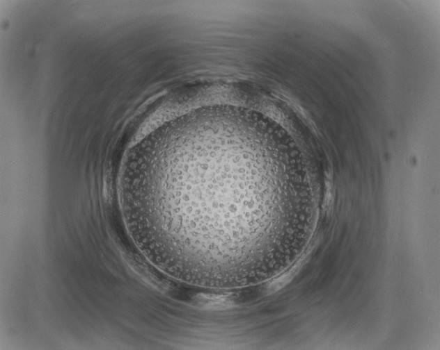X0000084580170200703021540