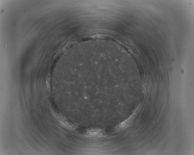 X0000084580175200703021540