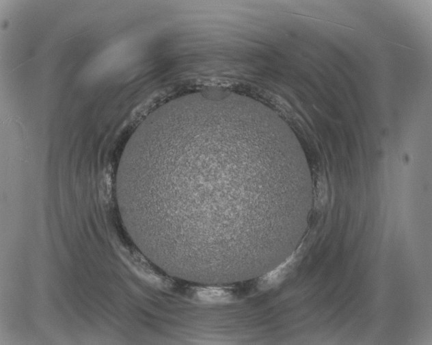 X0000084580183200703021540