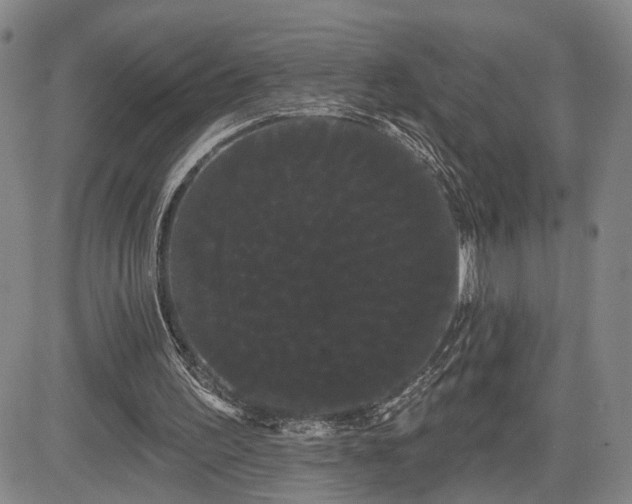 X0000084580195200703021539