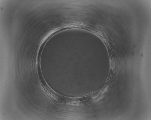X0000084580196200703021539
