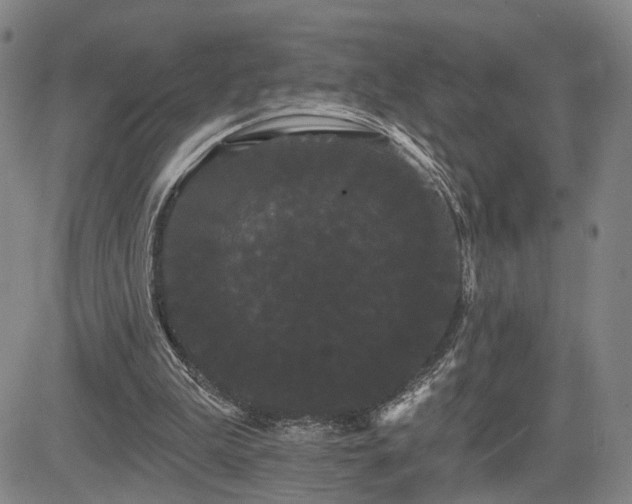 X0000084580199200703021539