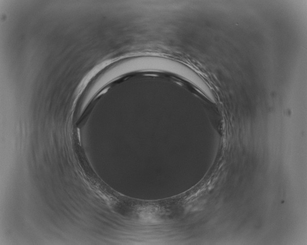 X0000084580200200703021539