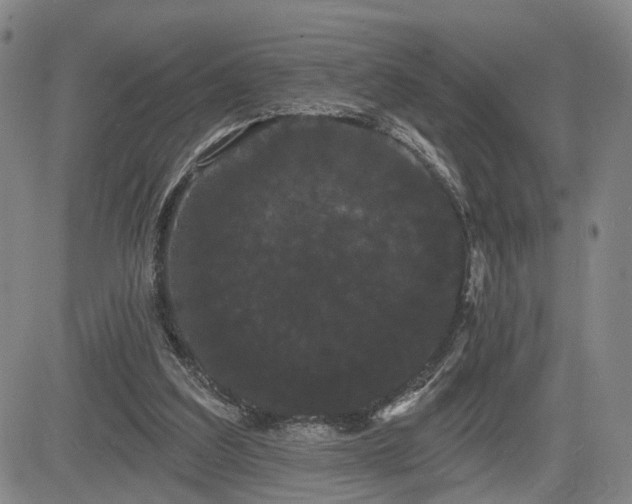 X0000084580203200703021539
