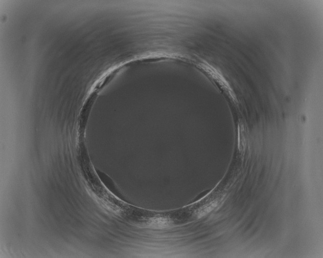 X0000084580204200703021539