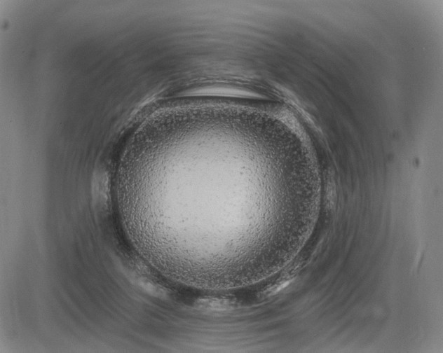 X0000084580211200703021539