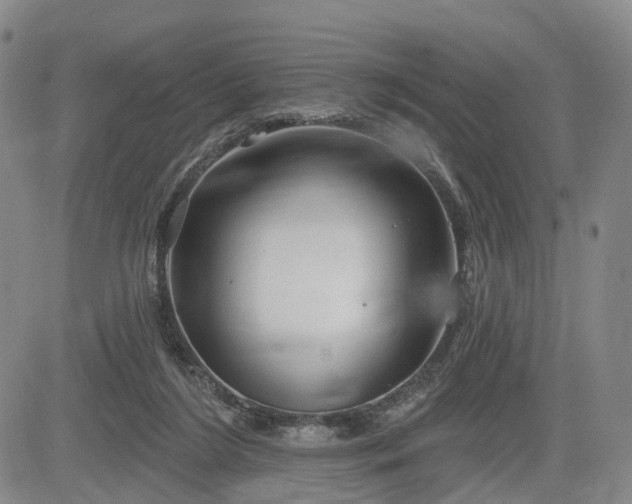 X0000084580212200703021539