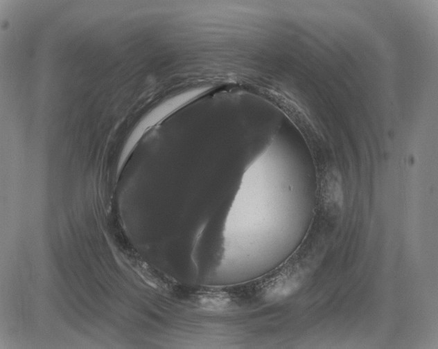 X0000084580214200703021539