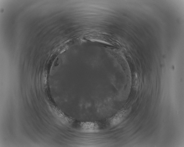 X0000084580230200703021538