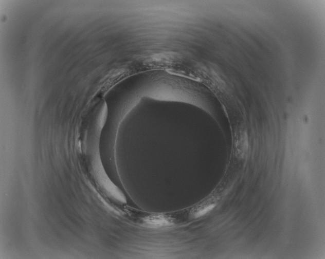 X0000084580231200703021538