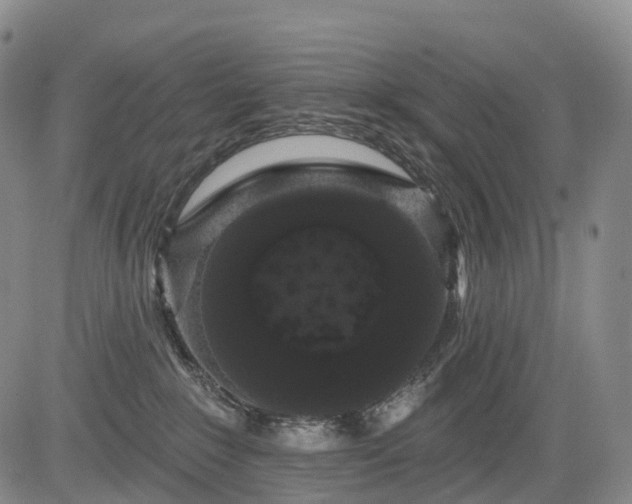 X0000084580235200703021538
