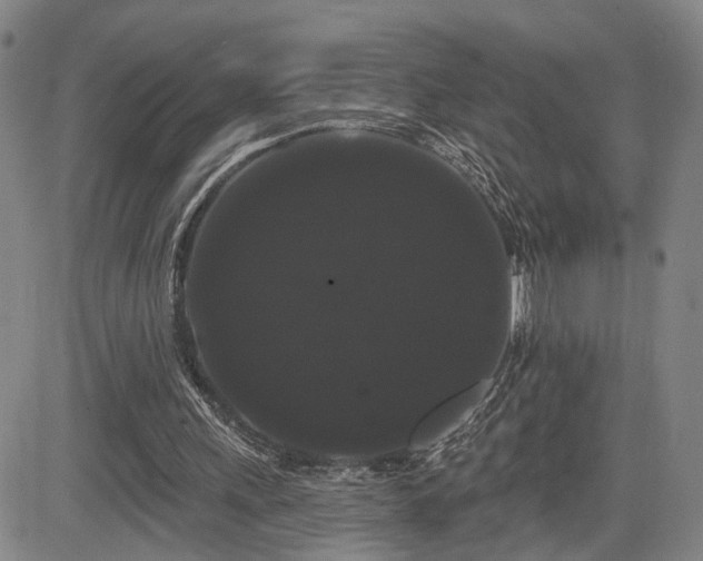 X0000084580243200703021537