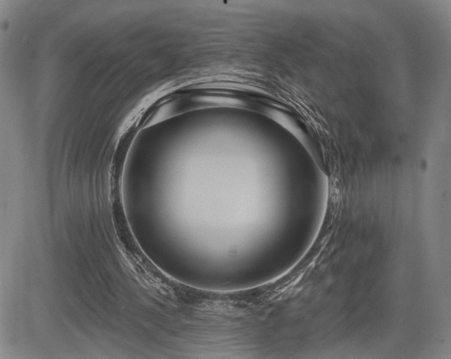 X0000084580244200703021537