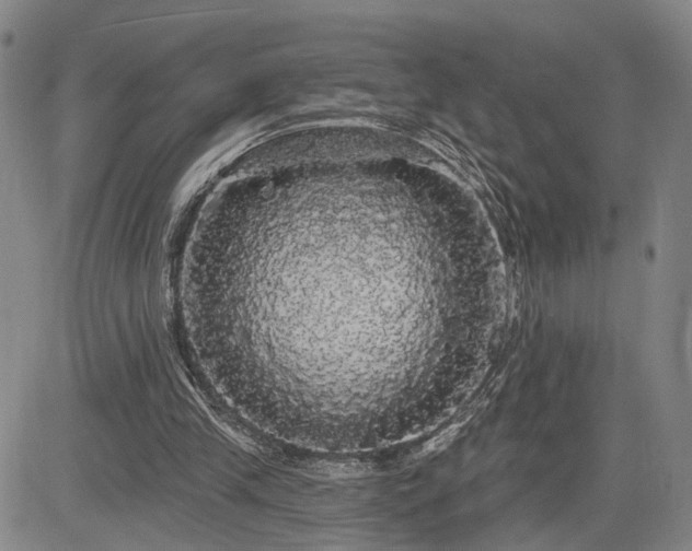 X0000084580245200703021538