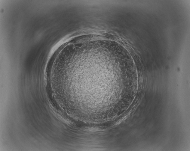 X0000084580246200703021538