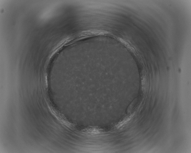 X0000084580254200703021538