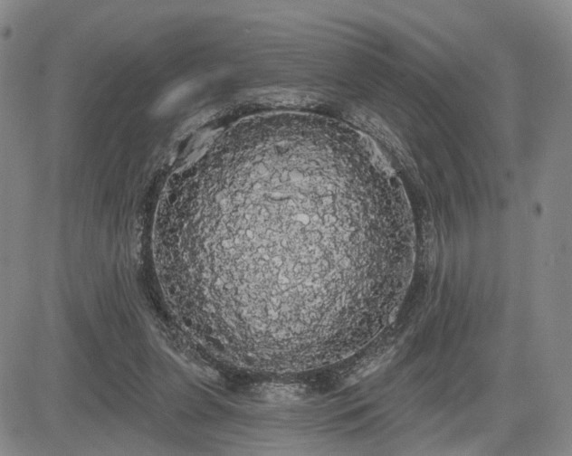X0000084580255200703021538