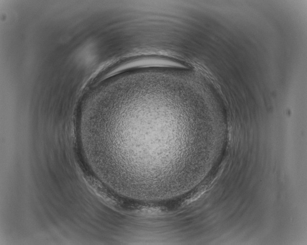 X0000084580256200703021538