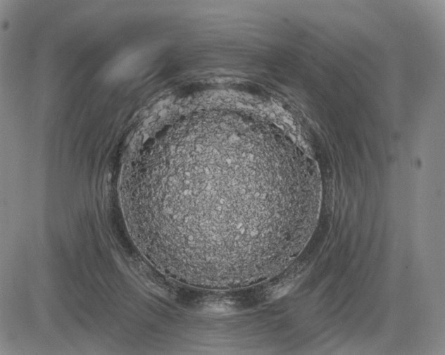 X0000084580263200703021538