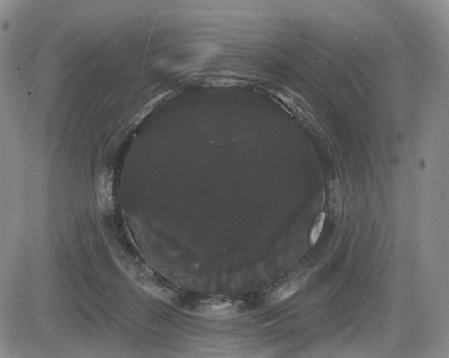 X0000084580267200703021538