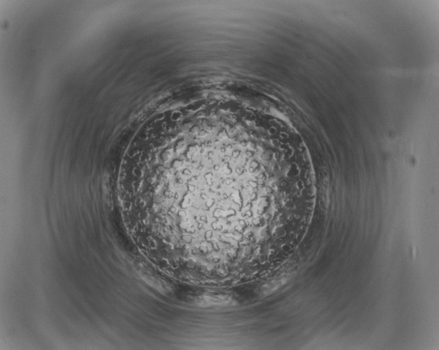 X0000084580270200703021538