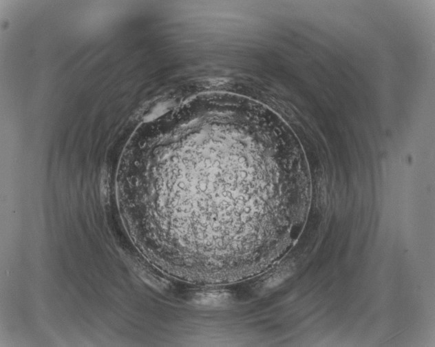 X0000084580274200703021538