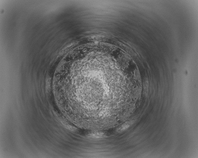 X0000084580278200703021538
