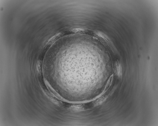 X0000084580280200703021538