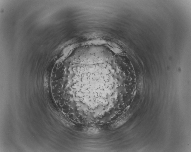 X0000084580282200703021538