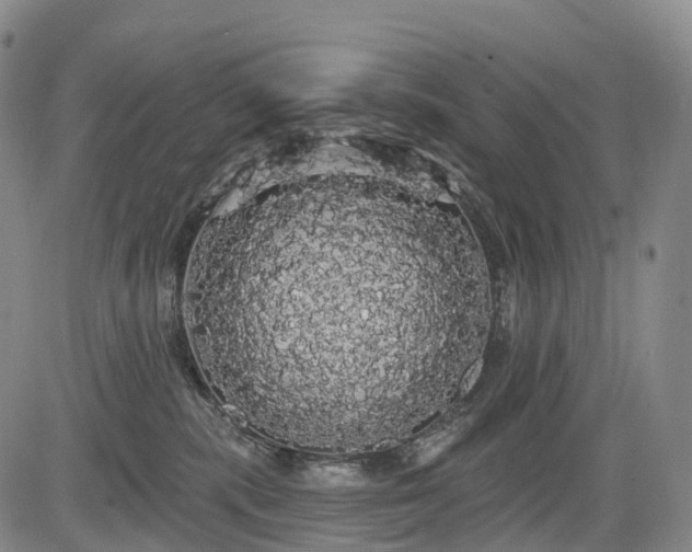 X0000084580283200703021538
