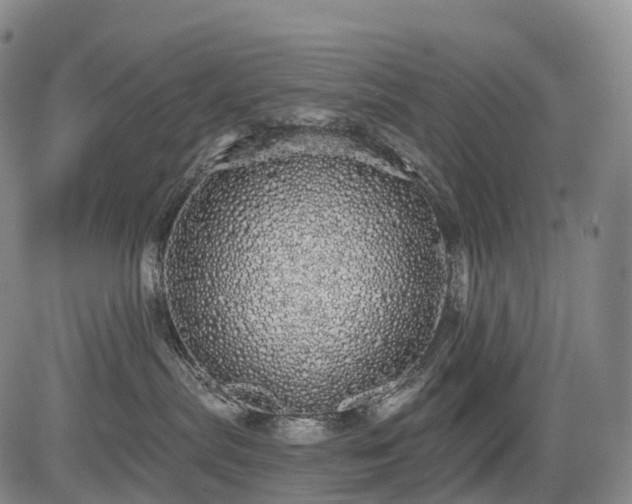 X0000084580287200703021538