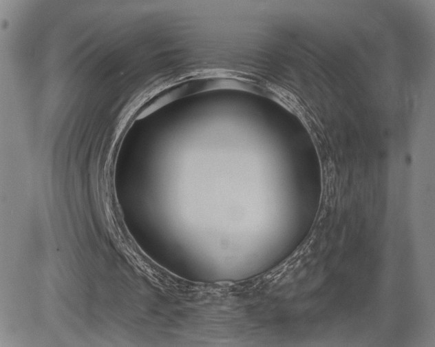 X0000084580289200703021537