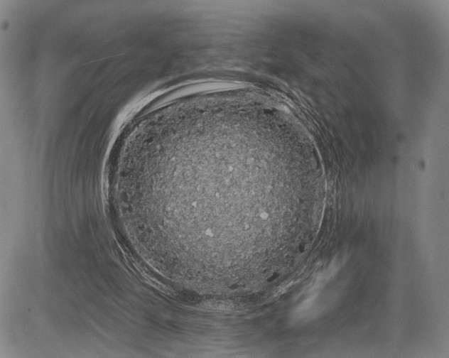 X0000084580294200703021537