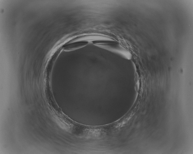 X0000084580295200703021537