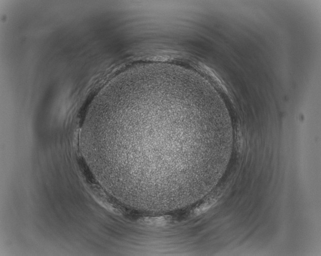 X0000084580307200703021537