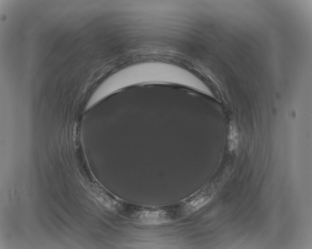 X0000084580314200703021537