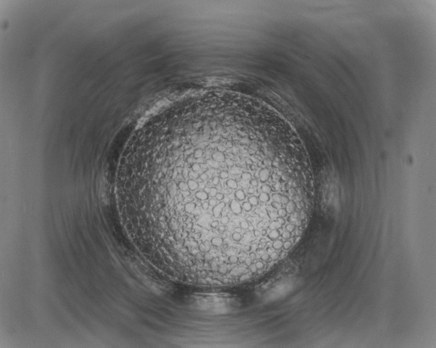 X0000084580316200703021537