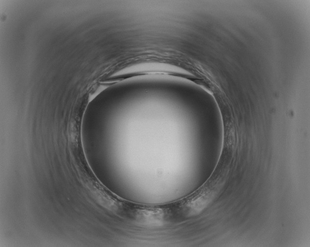 X0000084580317200703021537