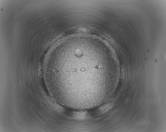 X0000084580318200703021537